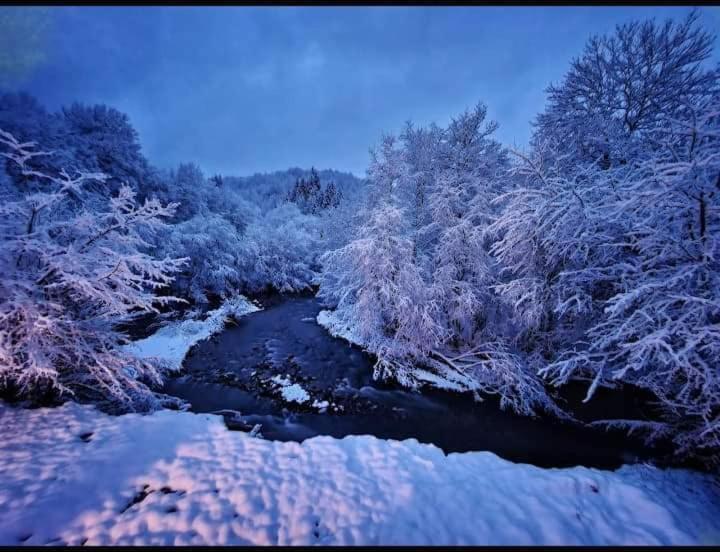 Vikend Kuca Dokovic - Jahorina Villa Pale Exterior foto